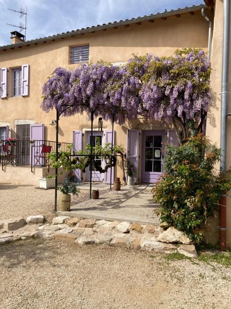 Gite Du Roy D'Amont Lagnieu Exterior photo